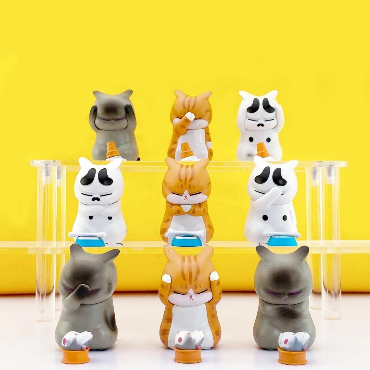 Gatinho Fofo Irritado Angustiado