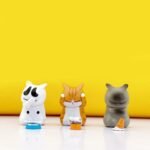Gatinho Fofo Irritado Angustiado