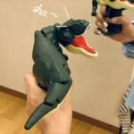 Dinossauro Dino Press