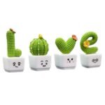 Plantas Suculentas Cactos