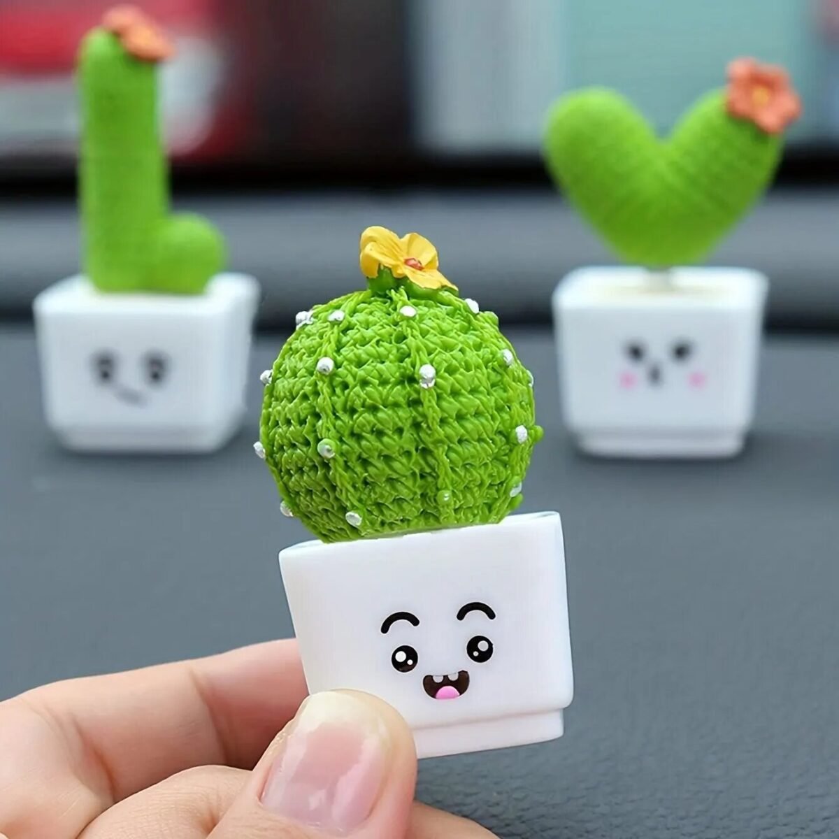 Plantas Suculentas Cactos