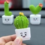 Plantas Suculentas Cactos