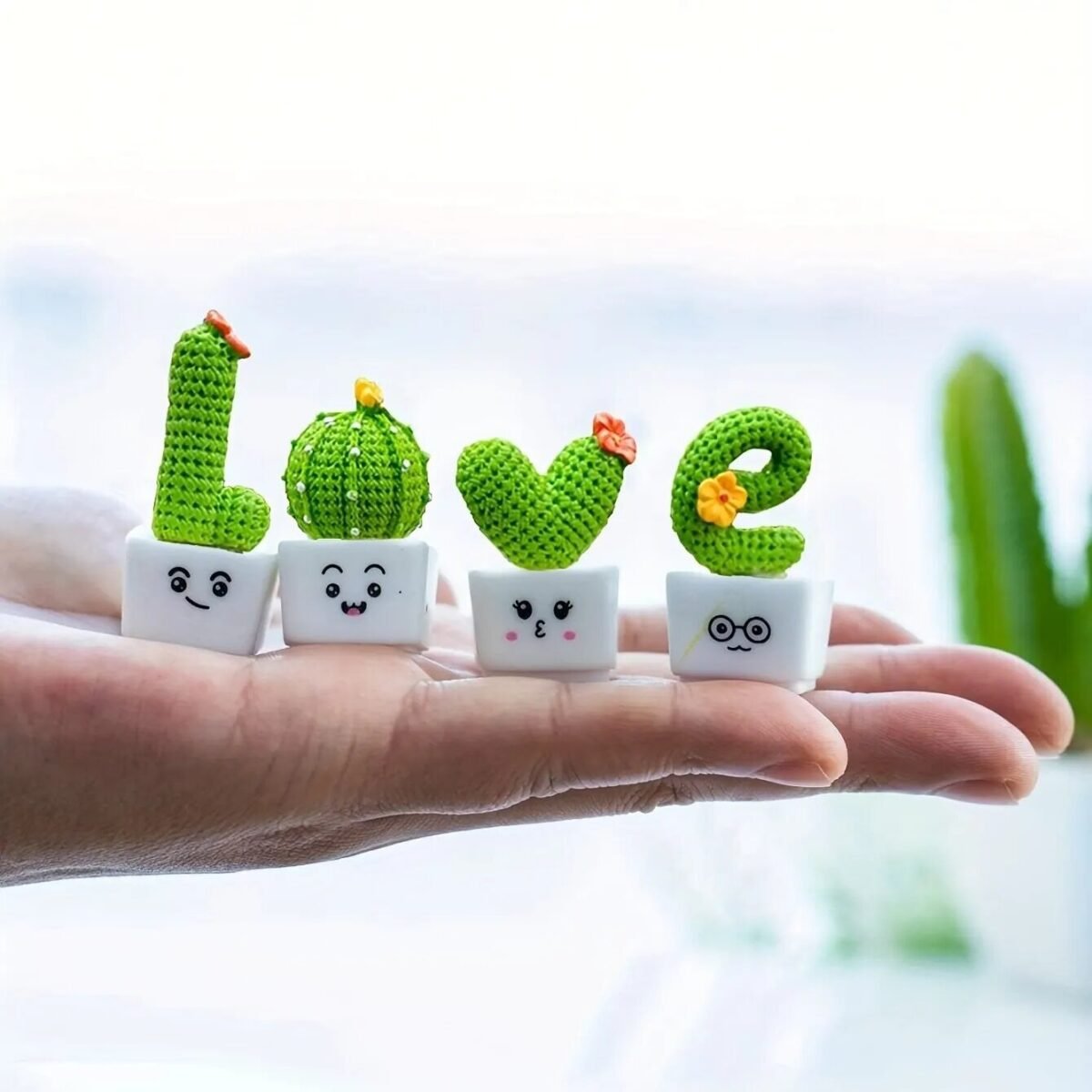 Plantas Suculentas Cactos