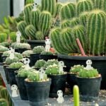 10 Elfos Kodama Miniaturas que Brilham no Escuro Para Decoração de Jardins, Plantas e Casas Luminosos e Fluorescentes