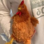 Galinha de Pelúcia